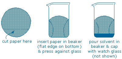 TLC beaker + paper