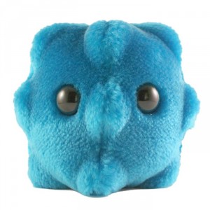 Know your enemy: the common cold microbe.