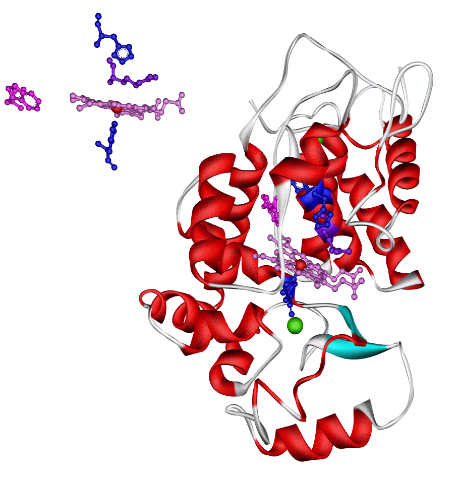Hrp_structure
