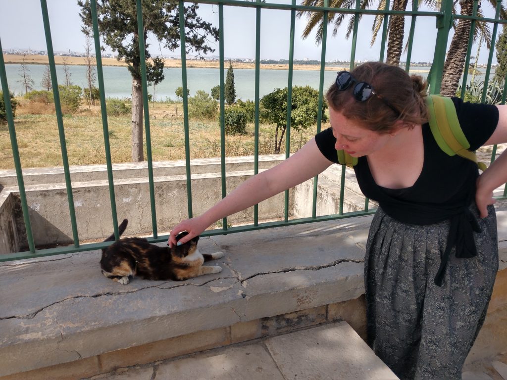 A woman scratches the head of a black and orange cat.