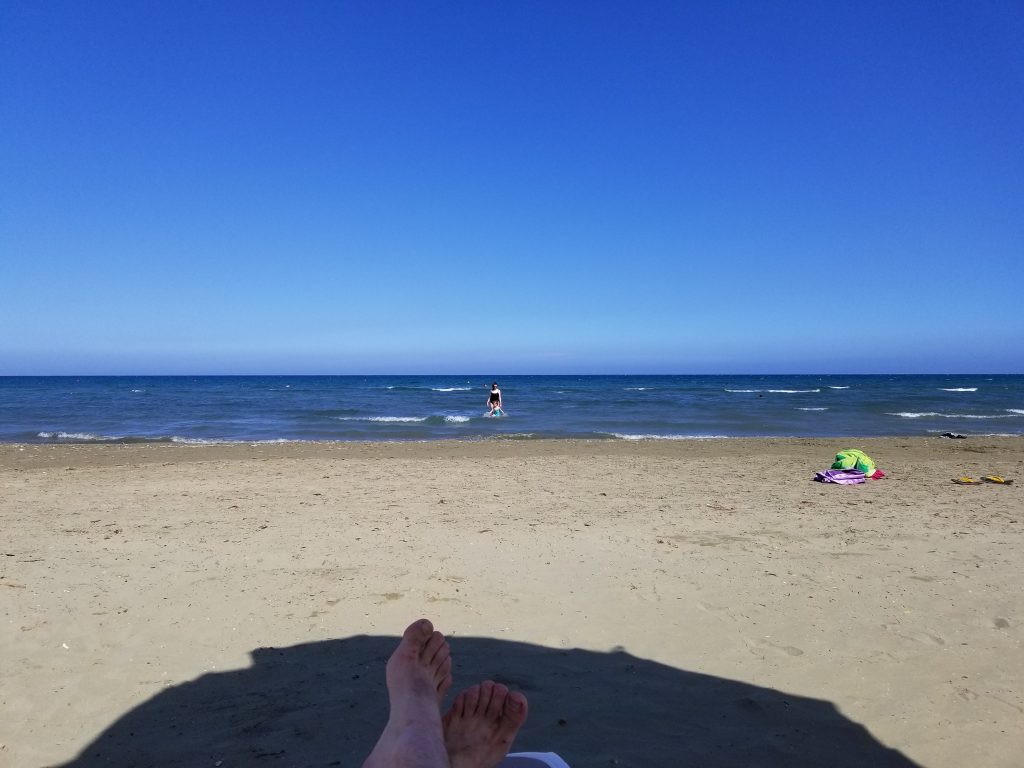 A dark sand beach