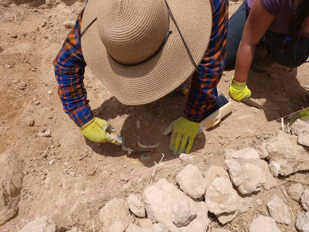 Trowels are used to carefully reveal artifacts