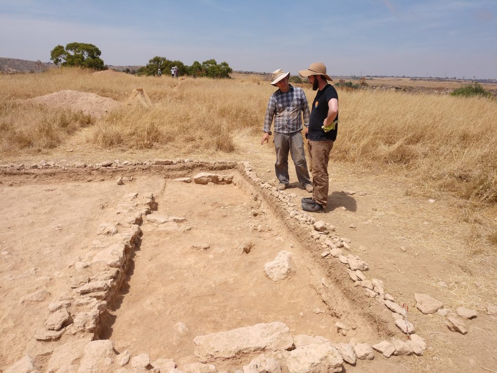 An archaeolgical trench with a small wall running through it