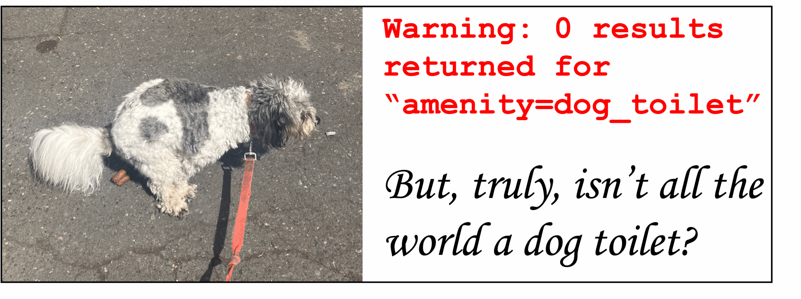 a gray and white small, poodle-ish dog pooping in a paved parking lot; the poop is visible; there is text to the side that says "warning: 0 results for "amenity=dog_toilet"" in courier new (coding) font and in cursive font underneath that the words "But, truly, isn't all the world a dog toilet?"
