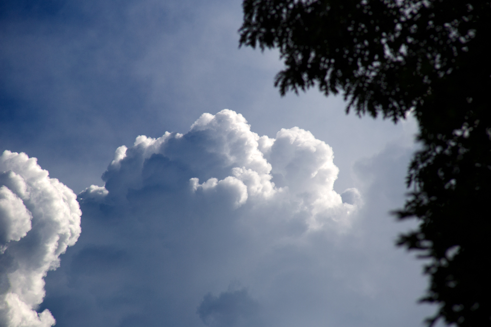 Blue sky with clouds and tree foliage.